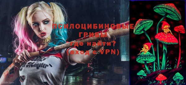 прущие грибы Магас