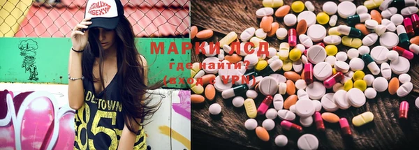 прущие грибы Магас