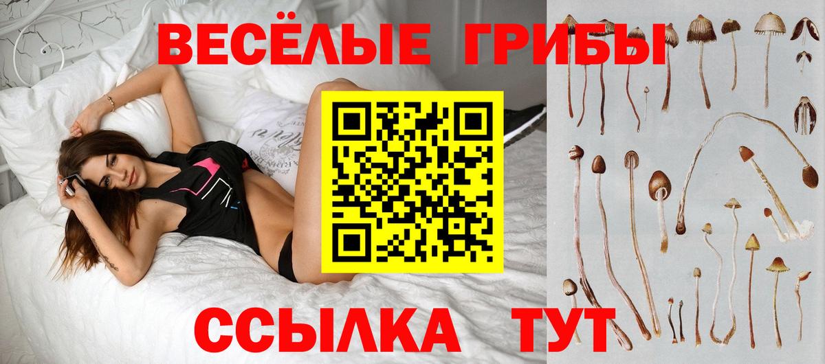 Галлюциногенные грибы Magic Shrooms Ростов-на-Дону