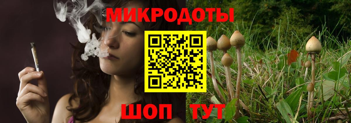 Галлюциногенные грибы GOLDEN TEACHER Ростов-на-Дону